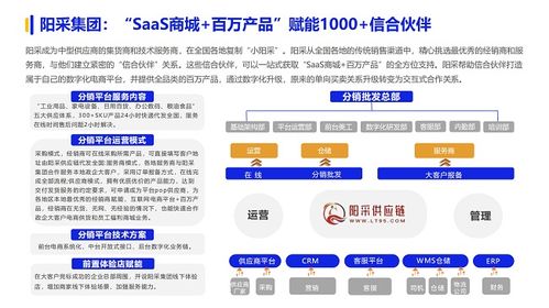 2024數(shù)字化采購(gòu)發(fā)展報(bào)告 點(diǎn)贊陽(yáng)采集團(tuán) 三輪疊加優(yōu)選 實(shí)現(xiàn)國(guó)央企采購(gòu)優(yōu)供優(yōu)服優(yōu)配